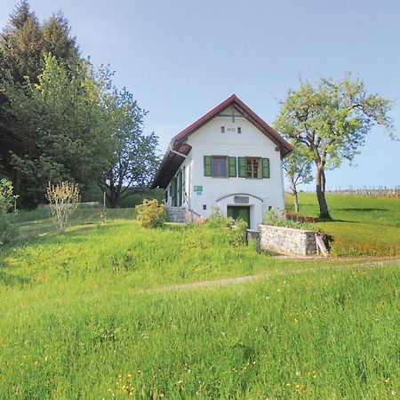 Haus In Strem Mit Panoramab, Villa Екстериор снимка